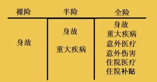 财富管理与保险配置理念图尊龙凯时网站21个家庭(图16)