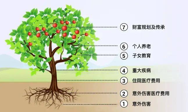财富管理与保险配置理念图尊龙凯时网站21个家庭(图24)
