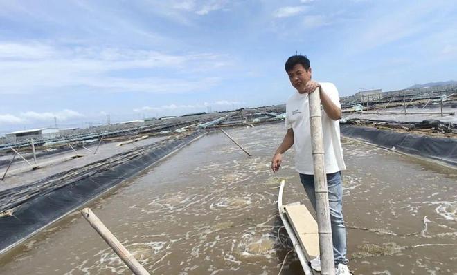 小棚被摧毁26万斤大虾“渡劫”虾农紧急救援！z6尊龙网站登录入口超惨烈！江门阳江上万张(图8)
